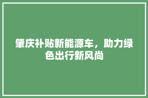 肇庆补贴新能源车，助力绿色出行新风尚