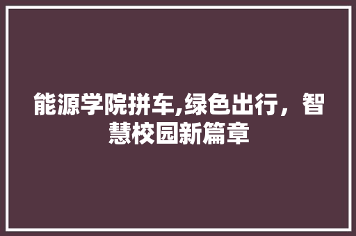 能源学院拼车,绿色出行，智慧校园新篇章