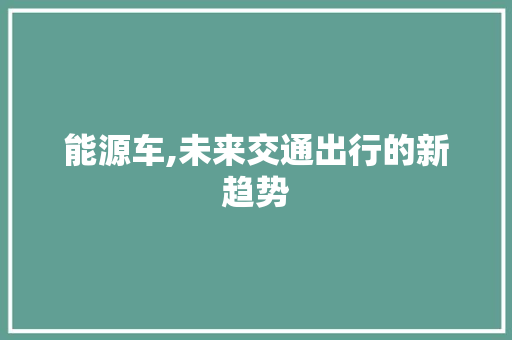 能源车,未来交通出行的新趋势