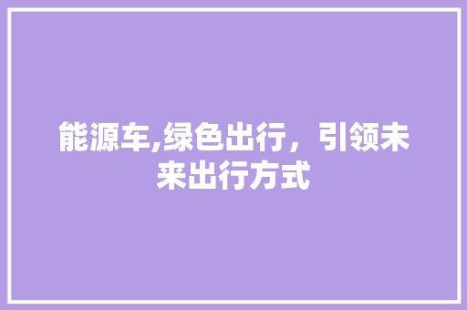 能源车,绿色出行，引领未来出行方式