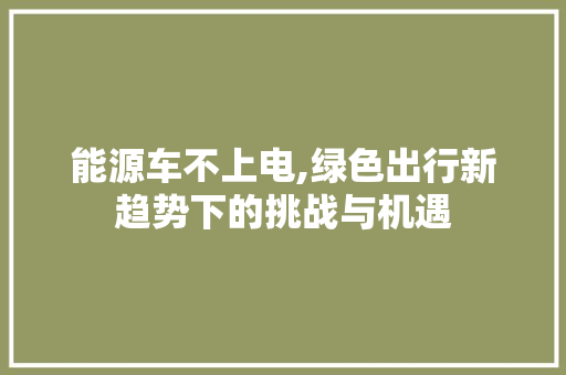 能源车不上电,绿色出行新趋势下的挑战与机遇