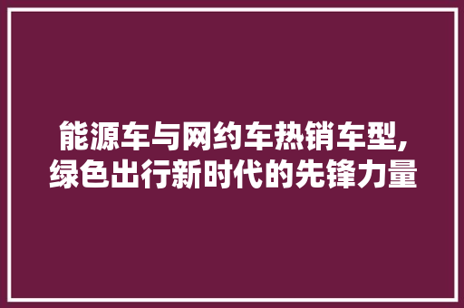 能源车与网约车热销车型,绿色出行新时代的先锋力量