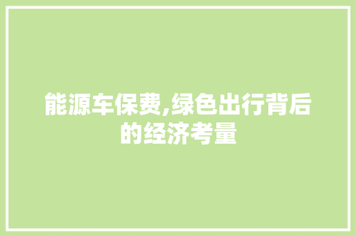 能源车保费,绿色出行背后的经济考量