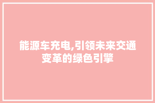 能源车充电,引领未来交通变革的绿色引擎