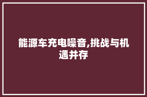 能源车充电噪音,挑战与机遇并存