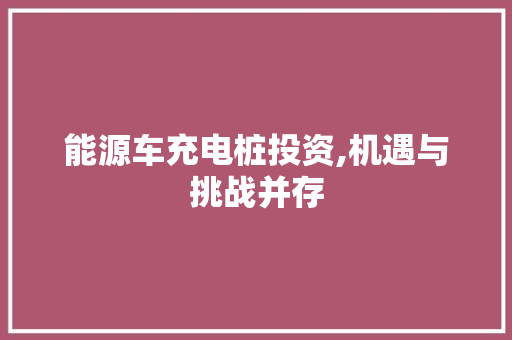 能源车充电桩投资,机遇与挑战并存