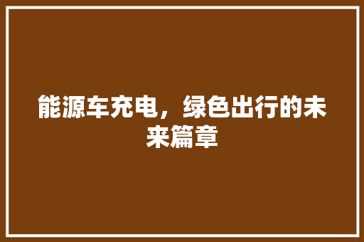 能源车充电，绿色出行的未来篇章