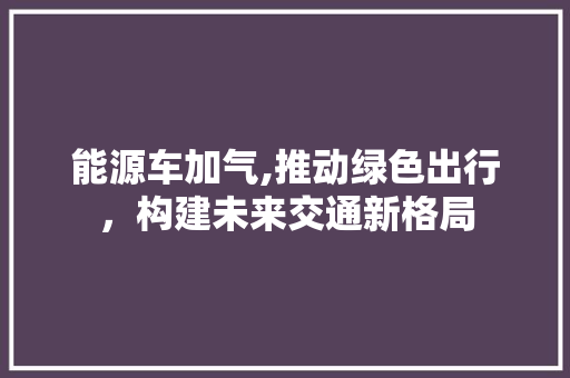 能源车加气,推动绿色出行，构建未来交通新格局