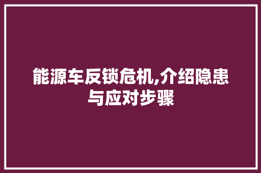 能源车反锁危机,介绍隐患与应对步骤