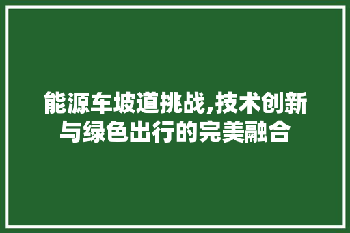 能源车坡道挑战,技术创新与绿色出行的完美融合