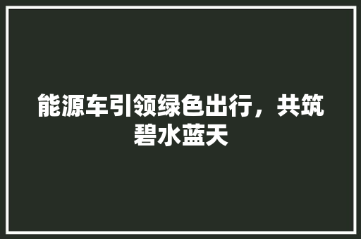 能源车引领绿色出行，共筑碧水蓝天