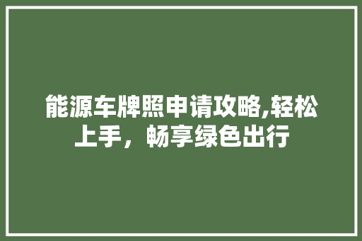 能源车牌照申请攻略,轻松上手，畅享绿色出行