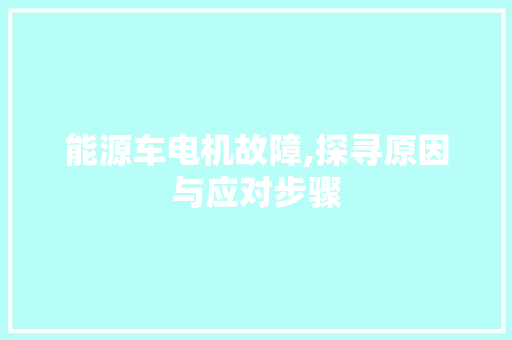 能源车电机故障,探寻原因与应对步骤  第1张