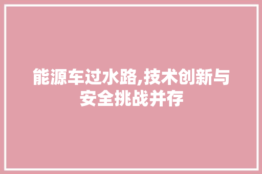 能源车过水路,技术创新与安全挑战并存