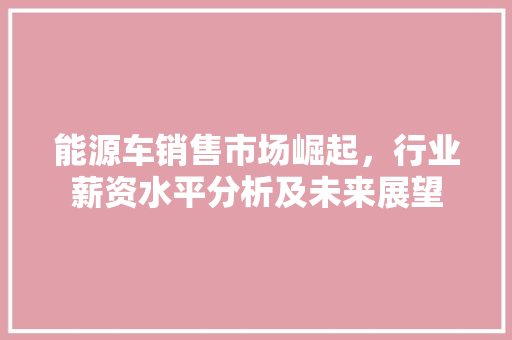 能源车销售市场崛起，行业薪资水平分析及未来展望  第1张