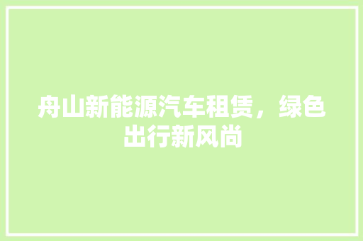 舟山新能源汽车租赁，绿色出行新风尚