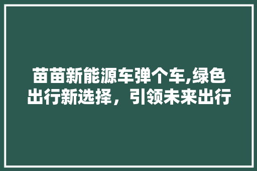 苗苗新能源车弹个车,绿色出行新选择，引领未来出行潮流