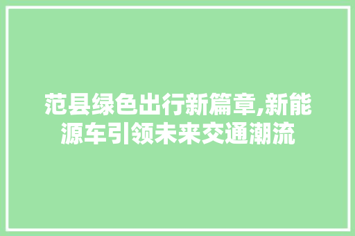 范县绿色出行新篇章,新能源车引领未来交通潮流