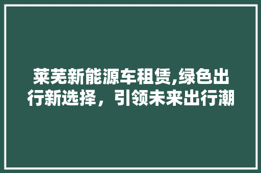 莱芜新能源车租赁,绿色出行新选择，引领未来出行潮流