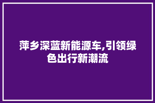 萍乡深蓝新能源车,引领绿色出行新潮流