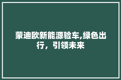 蒙迪欧新能源验车,绿色出行，引领未来