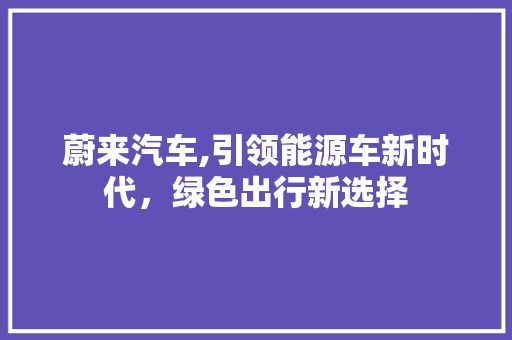 蔚来汽车,引领能源车新时代，绿色出行新选择