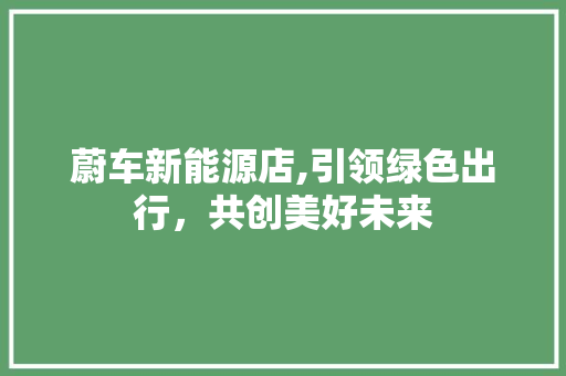 蔚车新能源店,引领绿色出行，共创美好未来