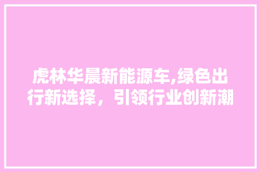 虎林华晨新能源车,绿色出行新选择，引领行业创新潮流  第1张