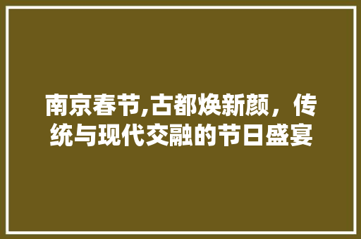 南京春节,古都焕新颜，传统与现代交融的节日盛宴