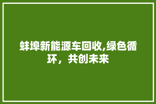 蚌埠新能源车回收,绿色循环，共创未来  第1张