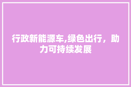 行政新能源车,绿色出行，助力可持续发展  第1张