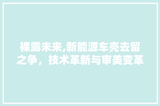 裸露未来,新能源车壳去留之争，技术革新与审美变革的碰撞