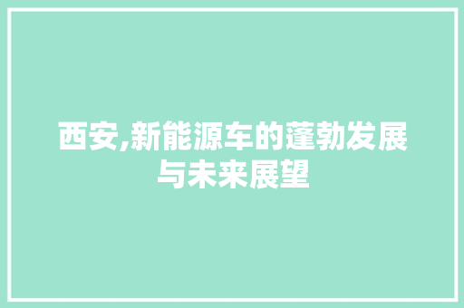 西安,新能源车的蓬勃发展与未来展望