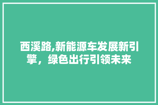 西溪路,新能源车发展新引擎，绿色出行引领未来