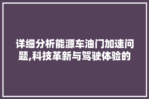 详细分析能源车油门加速问题,科技革新与驾驶体验的双重挑战