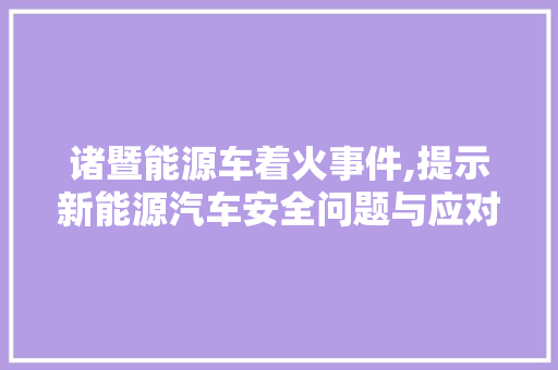 诸暨能源车着火事件,提示新能源汽车安全问题与应对步骤