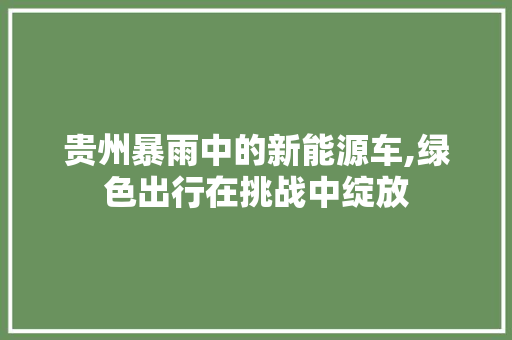 贵州暴雨中的新能源车,绿色出行在挑战中绽放  第1张