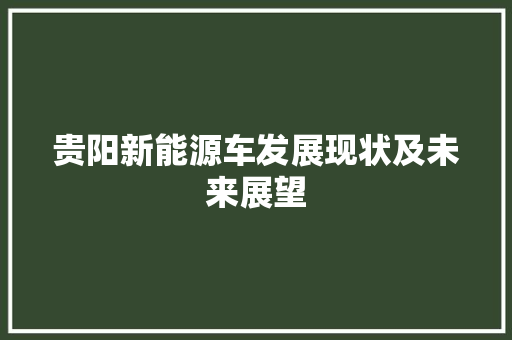 贵阳新能源车发展现状及未来展望