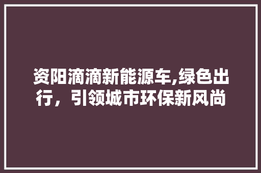 资阳滴滴新能源车,绿色出行，引领城市环保新风尚