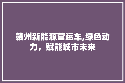 赣州新能源营运车,绿色动力，赋能城市未来