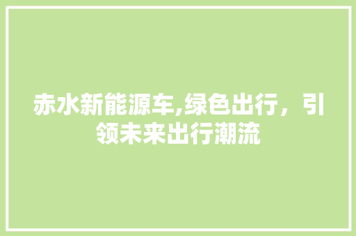 赤水新能源车,绿色出行，引领未来出行潮流