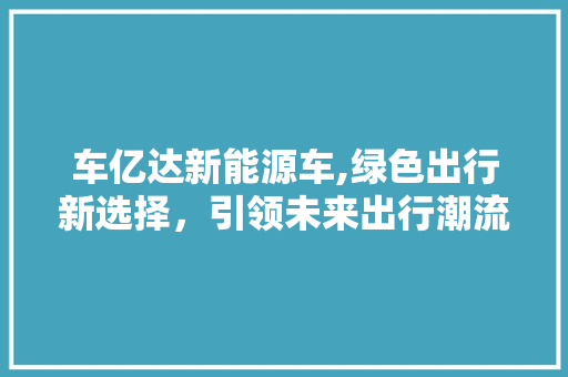 车亿达新能源车,绿色出行新选择，引领未来出行潮流