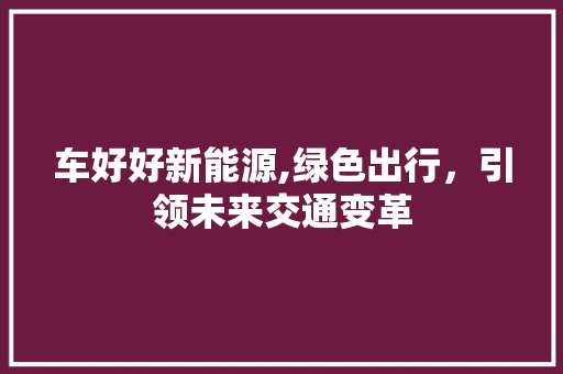 车好好新能源,绿色出行，引领未来交通变革