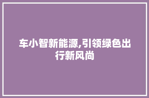 车小智新能源,引领绿色出行新风尚