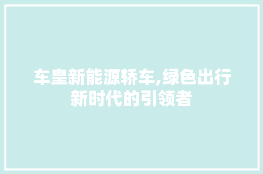 车皇新能源轿车,绿色出行新时代的引领者