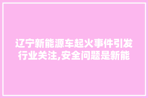 辽宁新能源车起火事件引发行业关注,安全问题是新能源汽车发展的重中之重  第1张