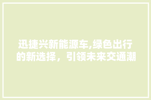 迅捷兴新能源车,绿色出行的新选择，引领未来交通潮流