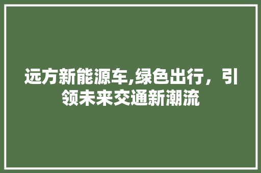 远方新能源车,绿色出行，引领未来交通新潮流