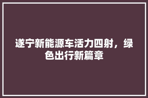 遂宁新能源车活力四射，绿色出行新篇章