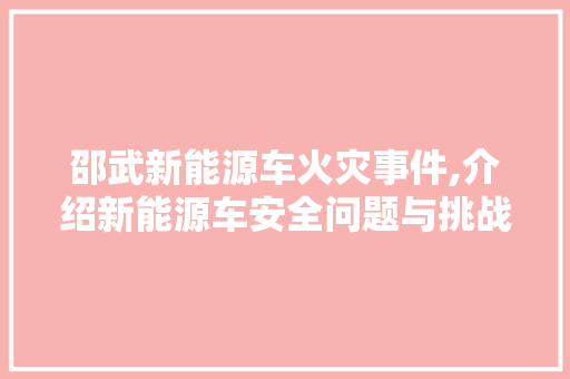 邵武新能源车火灾事件,介绍新能源车安全问题与挑战